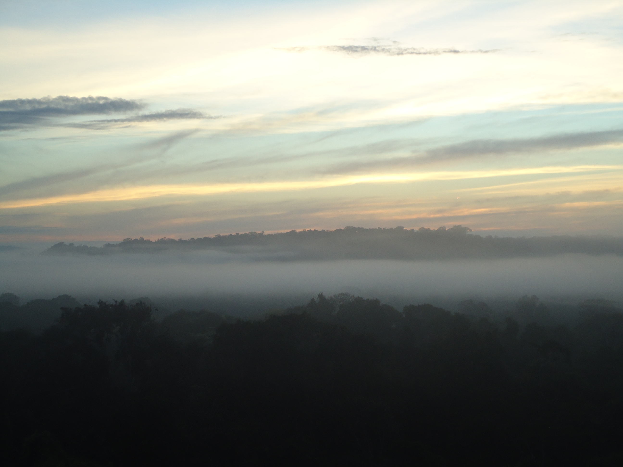 Neblina na Floresta Amazônica